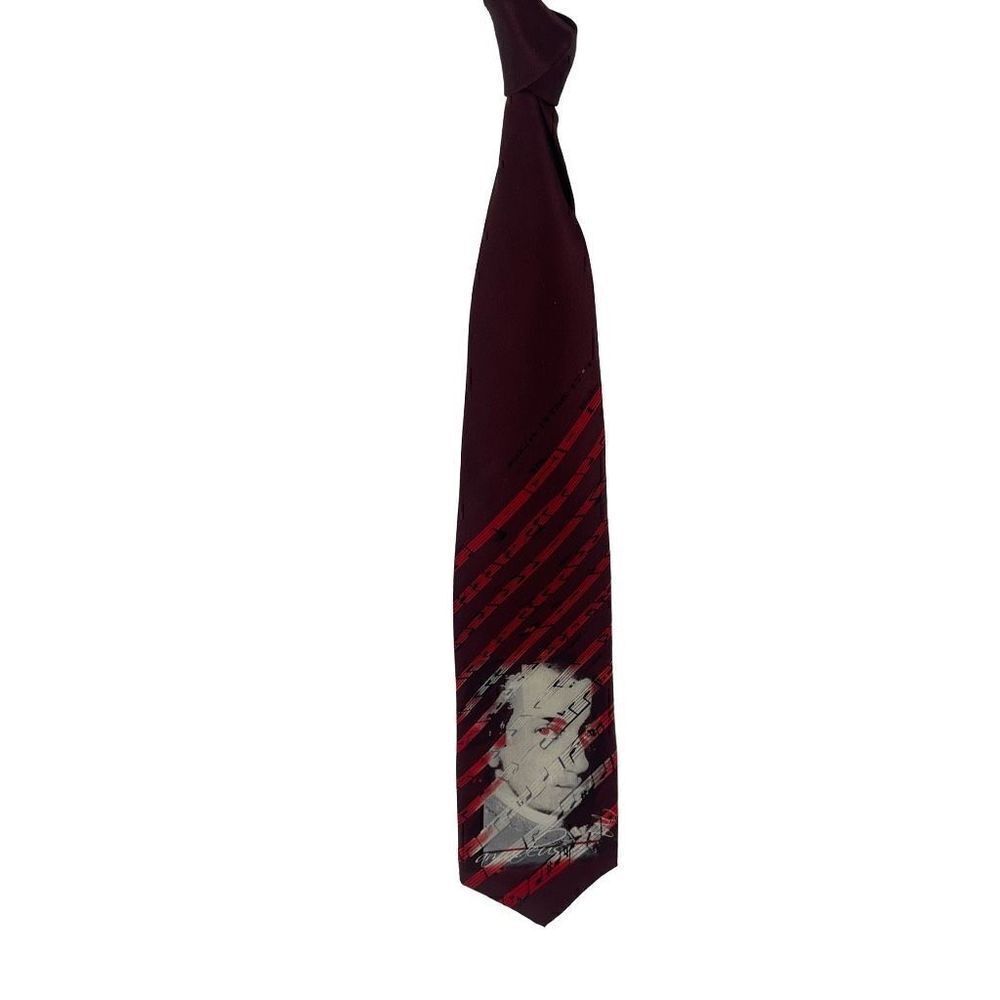 Robin Ruth Men's 100% Silk Neck Tie Musician Note Mozart Amadeus Print Vintage R